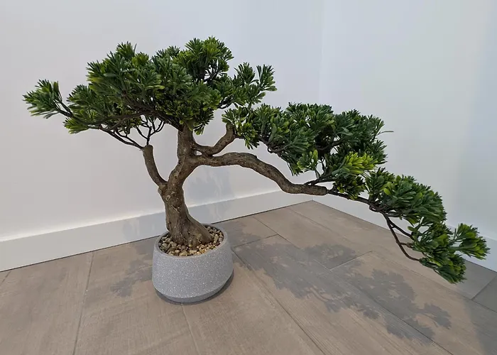 Ferienhaus Casa Do Guilhim Nazaré